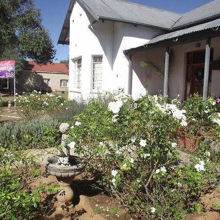 Bed and Breakfast Lavender Rose Bethulie Exteriér fotografie