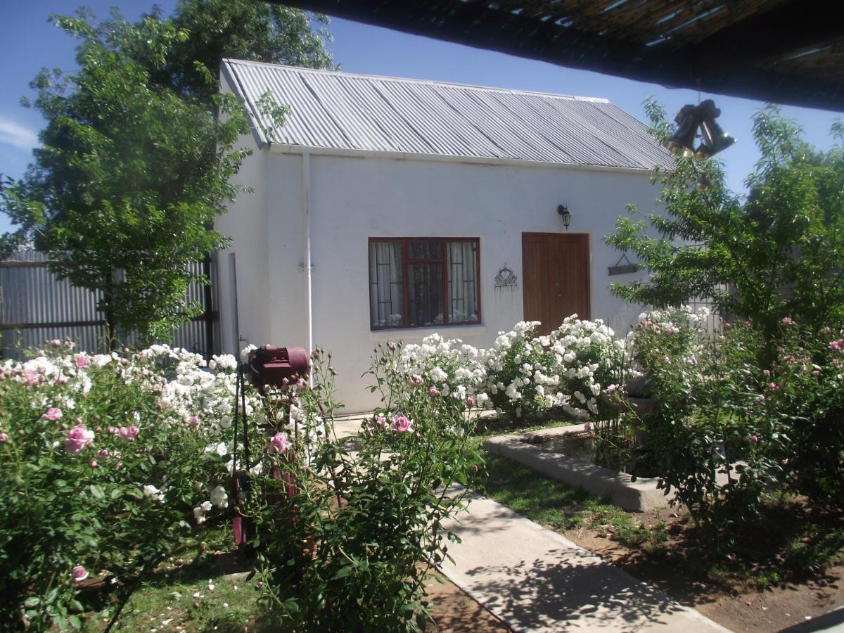 Bed and Breakfast Lavender Rose Bethulie Exteriér fotografie