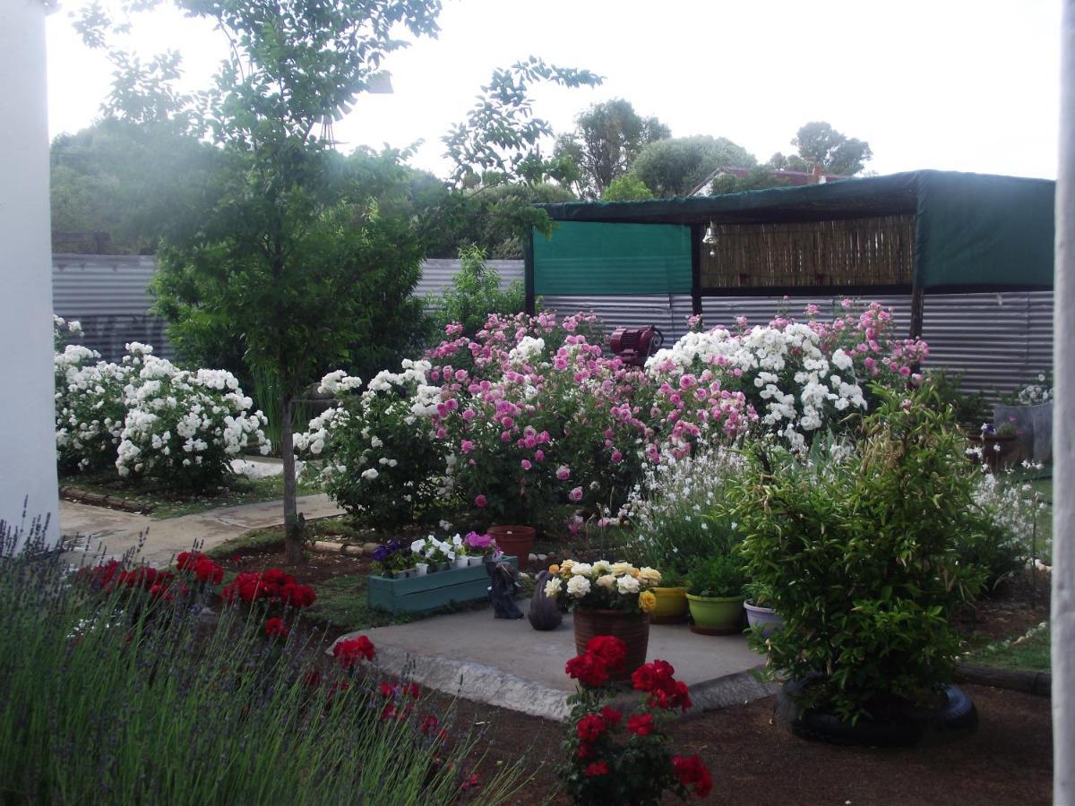 Bed and Breakfast Lavender Rose Bethulie Exteriér fotografie