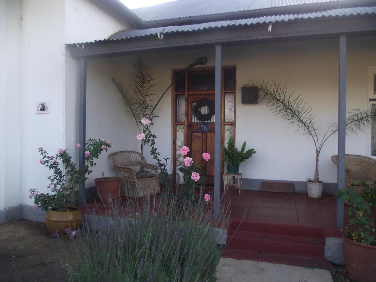 Bed and Breakfast Lavender Rose Bethulie Exteriér fotografie