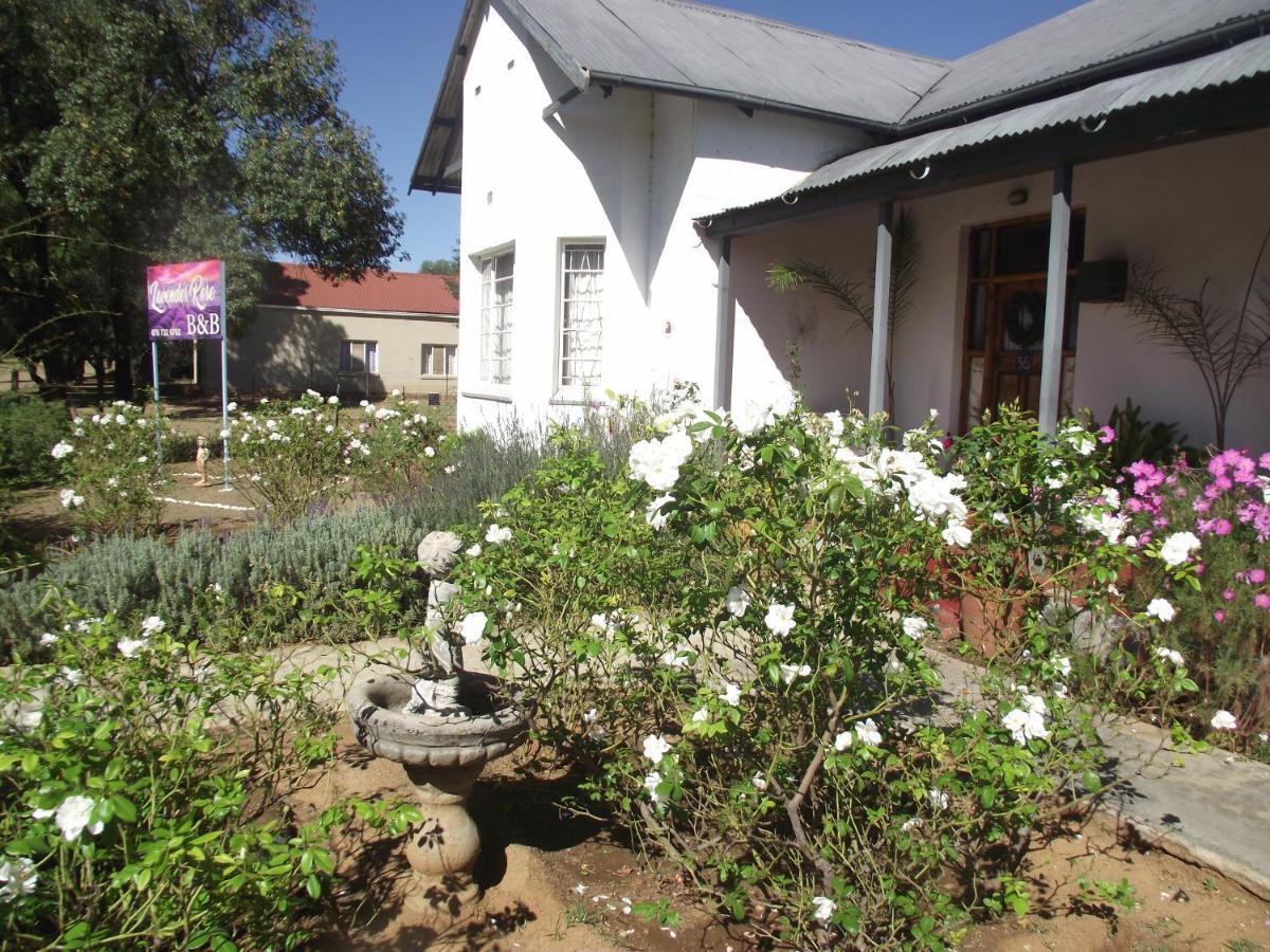 Bed and Breakfast Lavender Rose Bethulie Exteriér fotografie