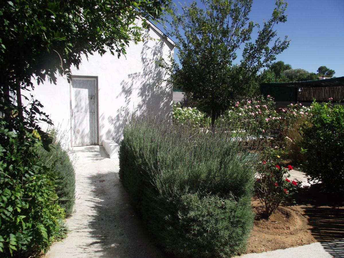 Bed and Breakfast Lavender Rose Bethulie Exteriér fotografie