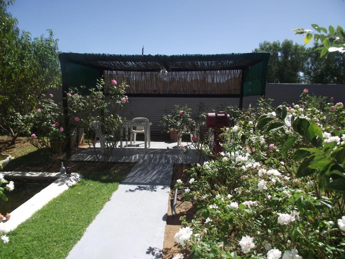 Bed and Breakfast Lavender Rose Bethulie Exteriér fotografie